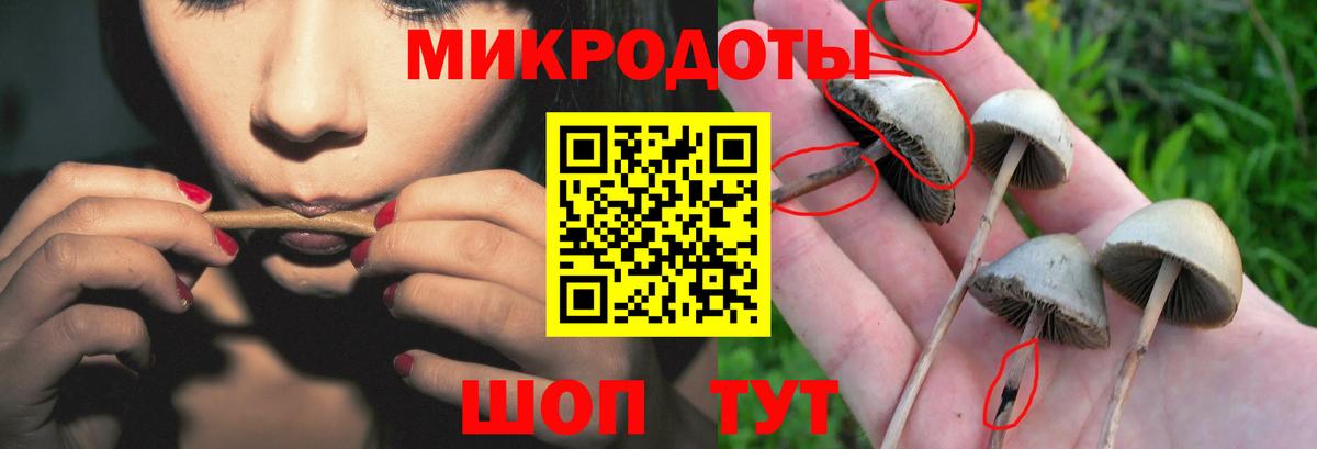 Галлюциногенные грибы мицелий  Вход с VPN  Мценск 