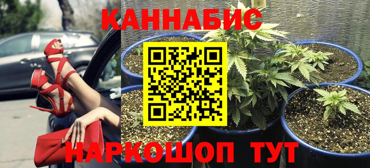 Мценск  Конопля ГИДРОПОН  Вход с VPN  Бошки Шишки MAZAR 